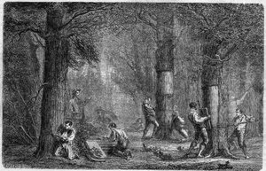 Verzameling van de schors van kurkeik. Gravure in "Histoire des plantes" door Louis Figuier gepubliceerd in "Le Monde Illustré" nr. 399 van 3 december 1864