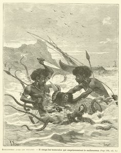Ontmoetingen met de octopussen