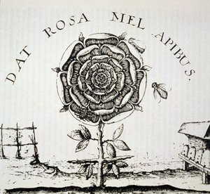 Rozenkruisers Allegorie, kopie van een gravure door Johann Theodore de Bry (c.1598), gebruikt in Geschiedenis van de Magie, gepubliceerd eind 19e eeuw door French School