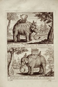 Koninklijke olifanten, uit Voyage du Siam des Peres Jesuites door Guy Tachard, 1688 door French School