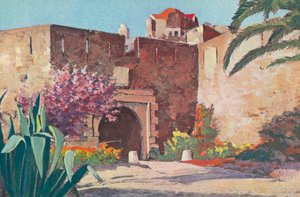 Saint Tropez: De citadel