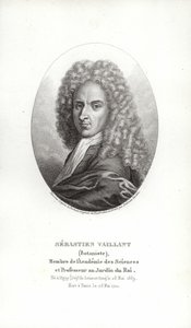 Sébastien Vaillant door French School