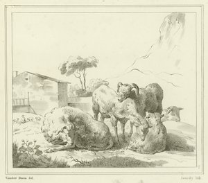 Schapen in een landschap