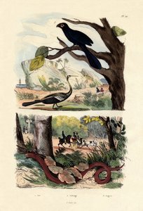 Gladbekani, 1833-39