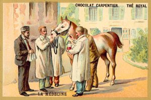 Bloed afnemen van een paard door French School