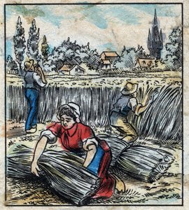 Textiel, vlas: landbouw. Verzamelt linnen dat in een bundel wordt samengevoegd om te drogen. Gravure. Epinal afbeelding eind 19e eeuw. door French School
