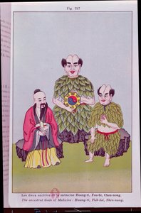 De voorouderlijke goden van de geneeskunde: Hwang-ti, Fuh-hsi met de Tai-ki, Shen-nung proeft een geneeskrachtige plant, illustratie naar populaire Chinese afbeeldingen (kleurgravure)