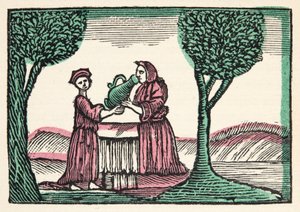 De fee uit Histories or Tales of Past Times verteld door Moeder de Gans, met moraal, door M Perrault, pub. 1925 (handgekleurde houtsnede) door French School