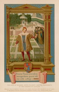 De koning van Navarra, Henri D