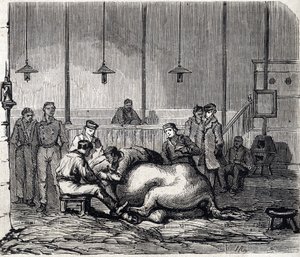 De Nationale Veterinaire School van Alfort - Les grandes écoles de France - École vétérinaire de Maison-Alfort in 1866 - de dissectiezaal - Gravure in 