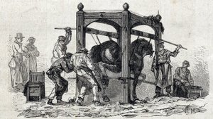 De Nationale veterinaire school van Alfort - Les grandes écoles de France - école veterinaire de maison alfort in 1866 - het beslaan van weerspannige paarden - Gravure in 