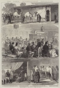 De Internationale Tentoonstelling van Parijs