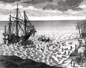De pelikaan zinkt nabij de kust, uit Histoire de l