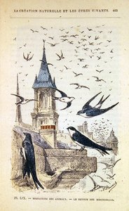 De Terugkeer van de Zwaluwen, ca. 1880