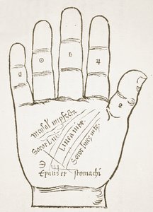 De Rechterhand, Hoofdlijnen, kopie van een illustratie uit Chiromantia door Ioannes ab Indagine, 1531, gebruikt in Geschiedenis van de Magie, gepubliceerd eind 19e eeuw