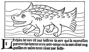 De Zeehond