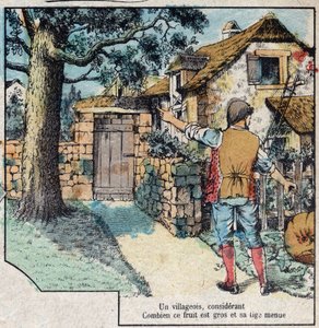 De eikel en de pompoen. Fabels van Jean de La Fontaine (1621-95). Epinal afbeelding eind 19e eeuw. door French School