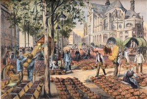 De aankomst van aardbeien op de tegel van de hallen achter de kerk van Saint Eustache, uit de krant "Le Petit Parisien" door French School