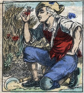 De reus van Brobdingnag greep Lemuel Gulliver. Illustratie voor "Gulliver