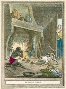 De aap en de kat