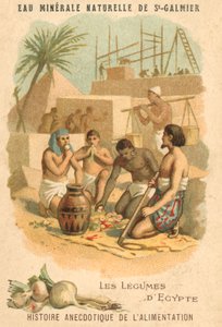 De groenten van Egypte door French School