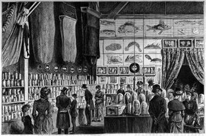 De zoölogische tentoonstelling in het Natuurhistorisch Museum in Parijs, collecties verzameld tijdens de wetenschappelijke expedities van de Worker en Talisman schepen. door French School