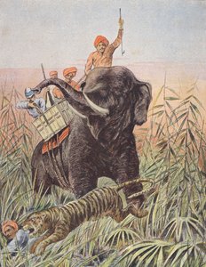 Tijgerjacht, India (kleurenlitho)