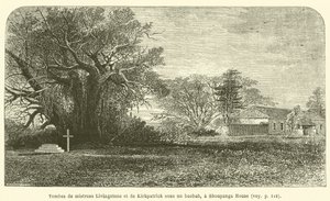 Graven van mevrouw Livingstone en Kirkpatrick onder een baobab, bij Shoupanga House door French School