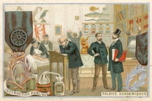 Handelskaart met een afbeelding van de Ordre des Palmes Academiques