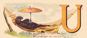 Een luie, de vogel van de eilanden! Een indolente, een nutteloze!