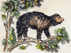 Unau (luiaard). Gravure in "Alphabet des animaux sauvages". 9e Serie. Beeldverhaal van Epinal, Pellerin, drukker-uitgever, circa 1870. Gravures op hout, gestencild. 16 pagina