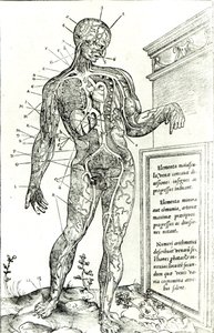 Vasculair systeem volgens Charles Etienne, uit De dissectione partium corporis humani libri tres, 1545 door French School