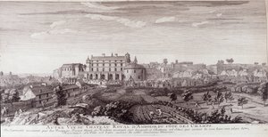 Uitzicht op het Koninklijk Kasteel van Amboise vanaf de kust van de velden