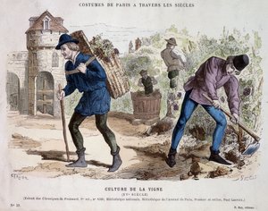 Wijnbouw in de 15e eeuw - in Costume de Paris door de eeuwen heen