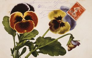 Vintage Franse ansichtkaart met bloemversieringen
