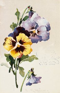 Vintage Franse ansichtkaart met bloemversieringen