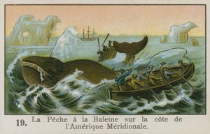 Walvisvangst voor de kust van Zuid-Amerika door French School