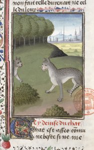 Wilde katten, uit het Livre de la Chasse door Gaston Phebus de Foix (1331-91)