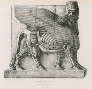 Gevleugelde stier, van Khorsabad, Louvre
