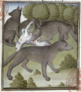 Wolven, uit het Livre de la Chasse door Gaston Phebus