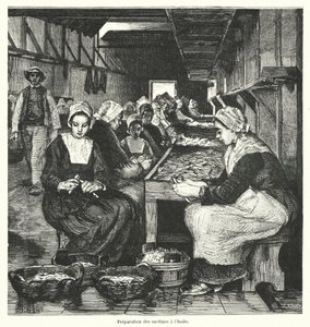 Vrouwen bereiden sardines