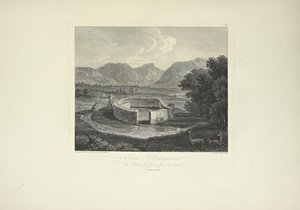 Ynca-Chungana, uit de tuin van de Inca bij Canar, getekend door Gmelin, gegraveerd door Morel, illustratie uit 