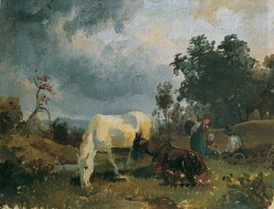 Een schimmel op de heide