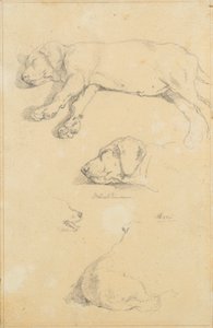 Hondenstudies: Waldmann en Ami door Friedrich August Mathias Gauermann