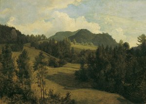 Landschap bij Miesenbach