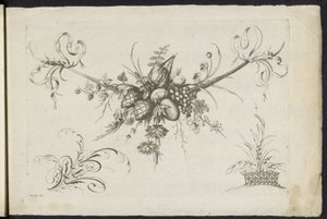 Festoen van vruchten, bladeren en bloemen door Friedrich Jacob Morisson