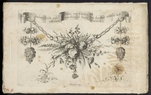 Unterschidliche neue Feston von Blumen und Früchten door Friedrich Jacob Morisson