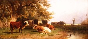 Vee dat drinkt in een landschap