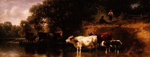 Vee dat drinkt in een bosrijk landschap