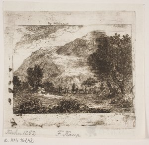 Landschap bij Wallenstadt